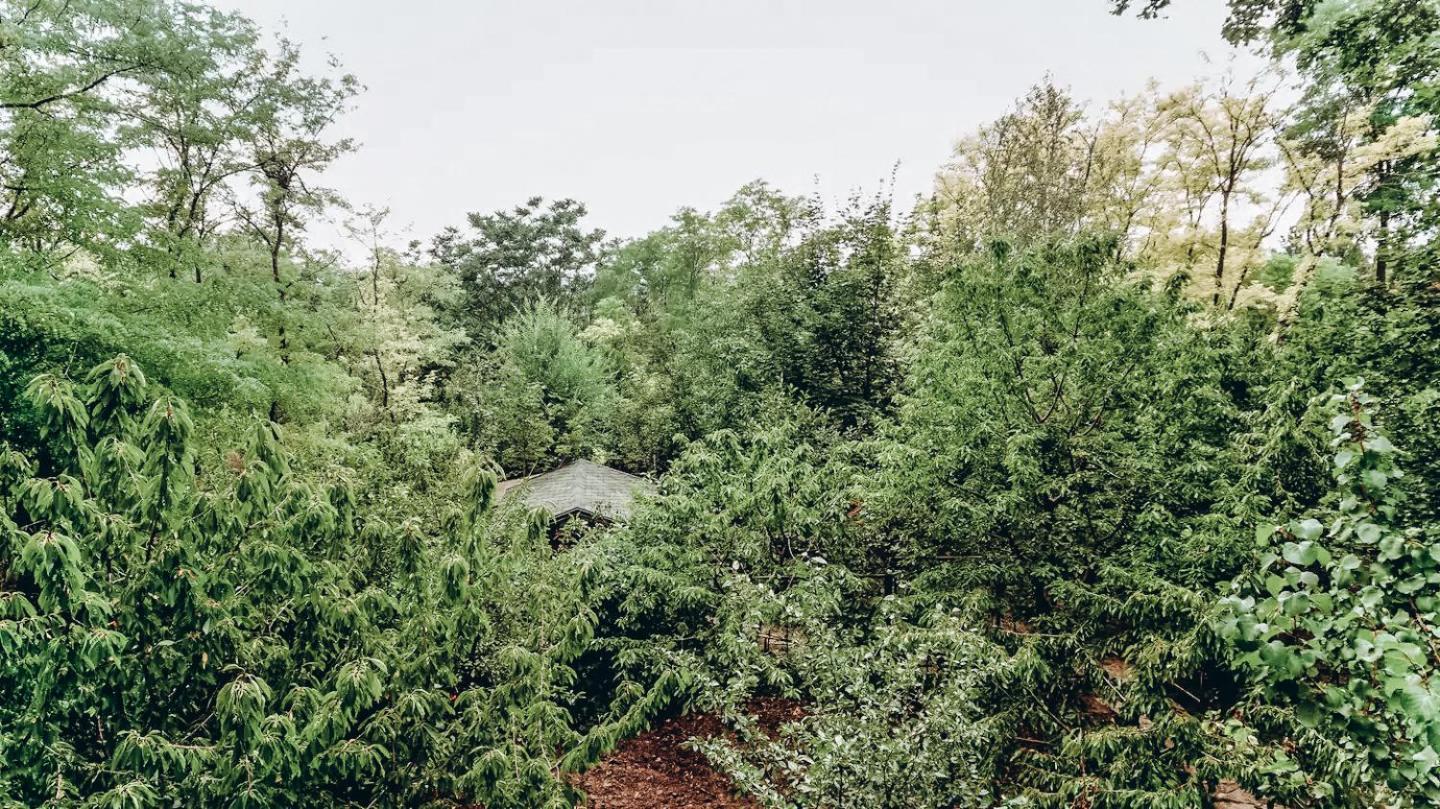 White Valley Entire Guest House Next To Forest Chisinau Exterior photo